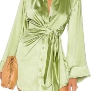 Song of style light green dress